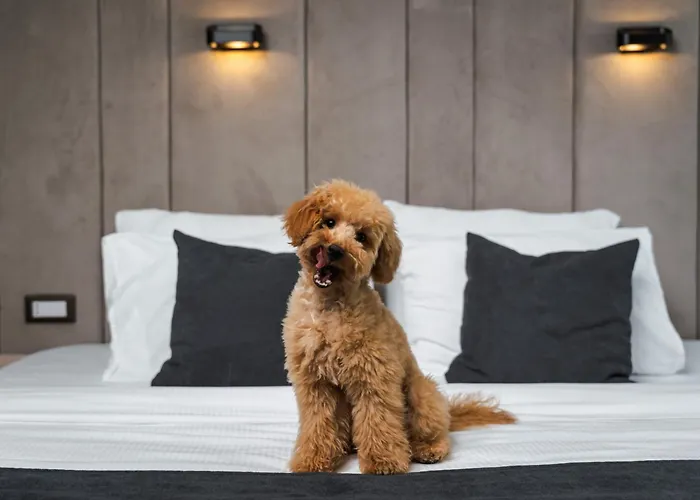 Отель Medite And